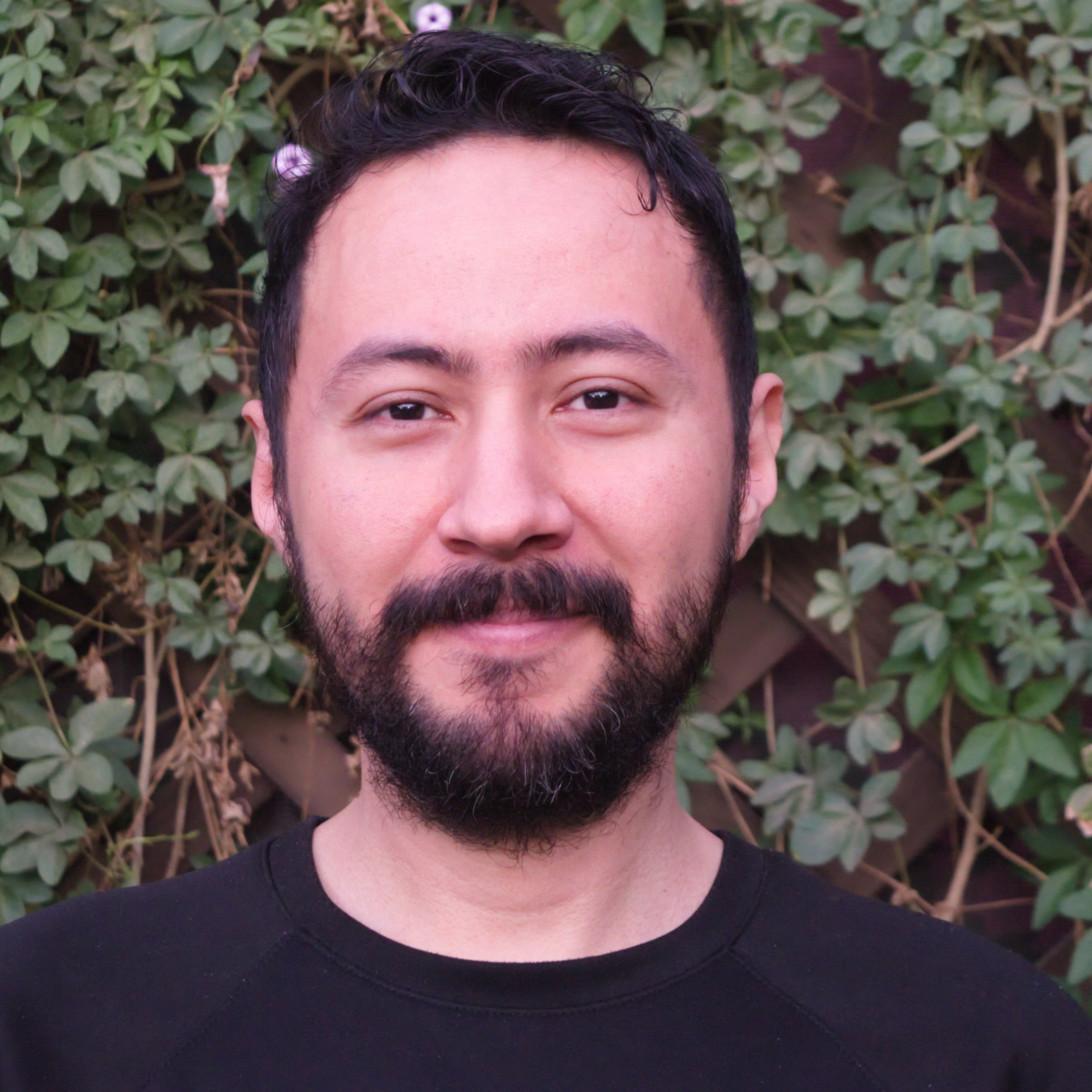 Clean Code In C Through Hands on Practice CodeSignal Learn